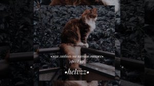 •моя любовь на пятом этаже• speed up