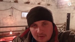 День Сегодняшний ,Пилим Дрова ,Дробим Корм