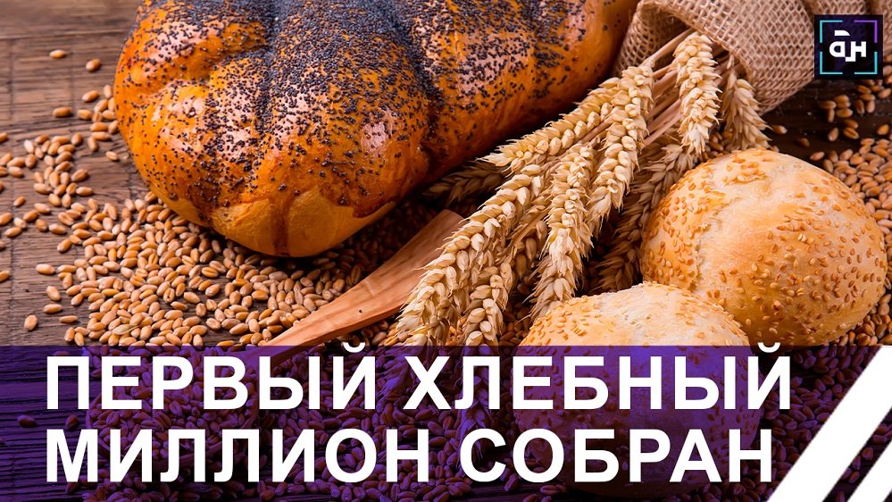 Белорусские аграрии собрали первый хлебный миллион! Панорама
