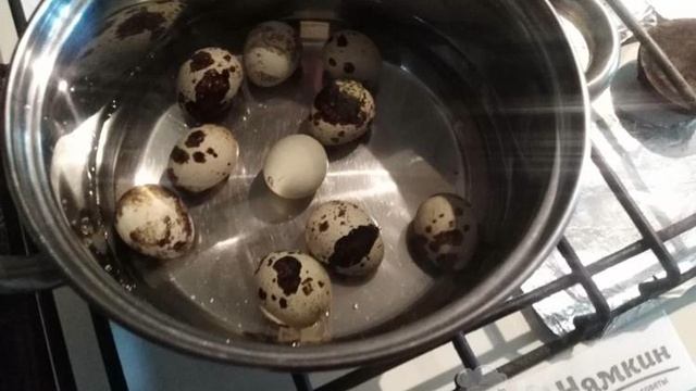 Салат из нута, зелени и перепелиных яиц с огурцами и кунжутом