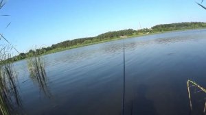 Рыбалка на карася в камышах с лодки