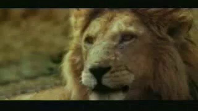 Blonde Antalope смотреть онлайн