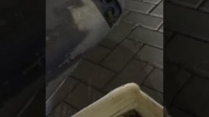 Техническое обслуживание лодочных моторов YAMAHA F130 и YAMAHA F250