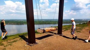 Птичий полёт