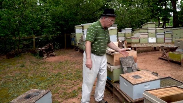 Пасека#73 Отводок Пчёл Лучшего Качества | Пчеловодство для начинающих смотреть онлайн