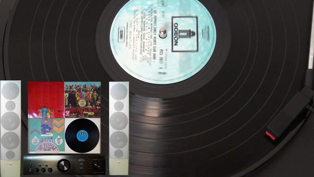 Within You Without You - The Beatles 1967 Vinyl Disk