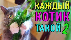 КАЖДЫЙ КОТИК ТАКОЙ 2 | ПАРОДИЯ Magic Pets