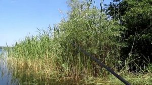 Ловля окуня на спиннинг.Ловля рыбы в Донецкой области