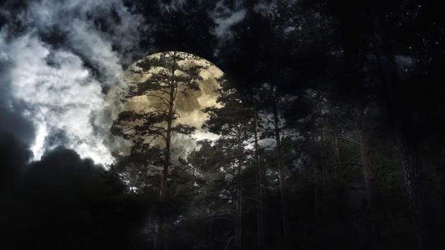 Сказочный сон/ fabulous sleep смотреть онлайн