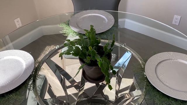 Christmas Cactus Care Tips, Blooming and Propagation смотреть онлайн