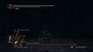 Где найти Клинок Хаоса в Dark Souls 2