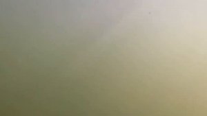 Только Щука !!!(с.Яковлевка, Новооскольский район.)