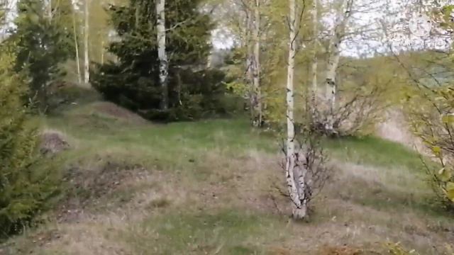 Нафкат Нигматуллин "СӨЮ ГАЗАБЫ". смотреть онлайн