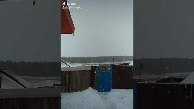 🏠 Дом около леса.