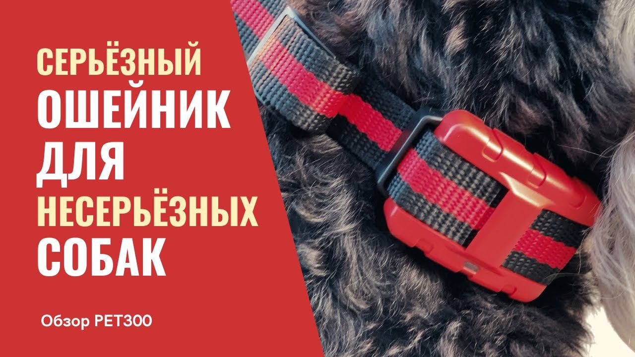 Обзор электронного ошейника PET300 для собак | Amazin.Su смотреть онлайн