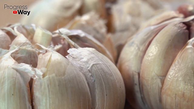 Сделайте подкормку ЧЕСНОКА этими ДВУМЯ компонентами! Вы удивитесь результатам сверхурожая на даче! смотреть онлайн