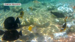 HILTON SHARKS BAY RESORT 4* / Шарм Эль Шейх / ХИЛТОН ШАРКС БЕЙ РЕЗОРТ 4* Отдых ЕГИПЕТ Шарм Эль Шейх