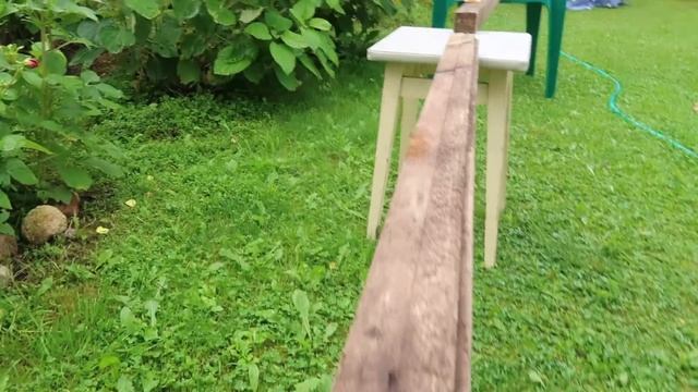 ОПАСНАЯ ПОЛОСА ИСПЫТАНИЙ ДЛЯ ЗВЕРОДЕТОК В ЗВЕРОЛАГЕРЕ