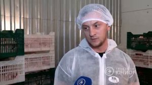 Шахтерская птицефабрика