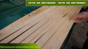 Многопильный кромкообрезной станок ЦМ-800 Беларусь