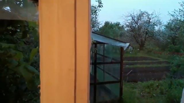 №277. Опять лопата? Чем сажаю я картошку?//Дачный дневничок//День 14 смотреть онлайн