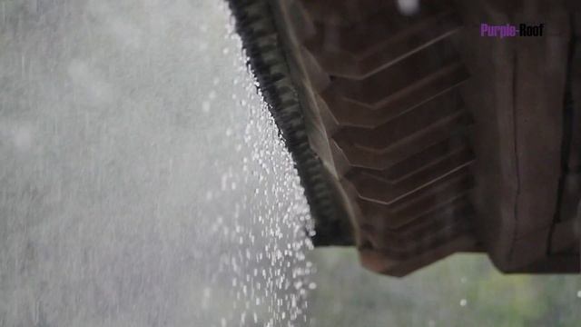 Green Roof ROI - Economic Case Study (Purple-Roof Concept Detention) смотреть онлайн