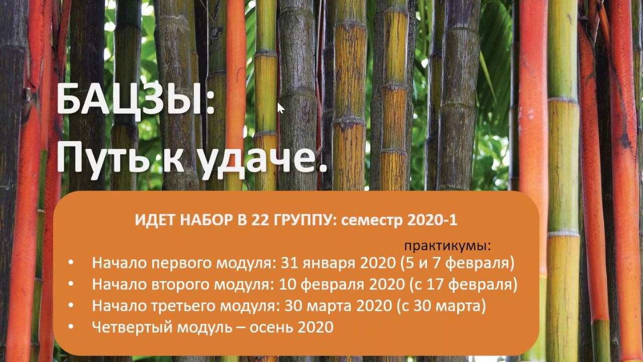 Ошибки начинающего консультанта бацзы. Пример карты: Айзек Азимов