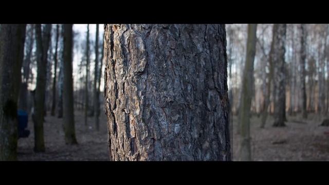 raw video test 650d смотреть онлайн
