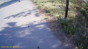 ВЛОГ: ВЕЧЕРНЯЯ ПРОГУЛКА (ОТ ПЕРВОГО ЛИЦА)