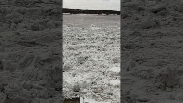 Ледоход на Томи!. смотреть онлайн