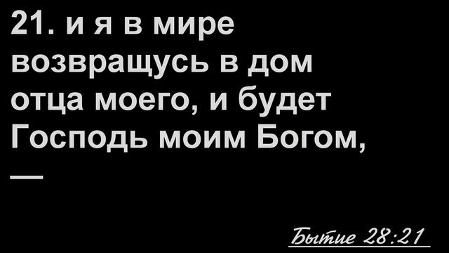 15 января 2017 (вечер) / Воскресное богослужение / Церковь Спасение смотреть онлайн