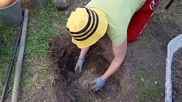 Сажайте гортензию только так. смотреть онлайн