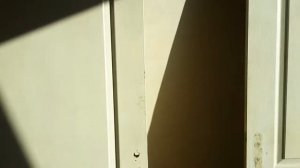 Реставрация межкомнатных дверей и подготовка к покраске.