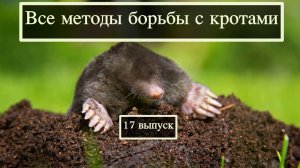 Как бороться с кротами