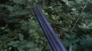 Где живут пчёлы. Мой ответ адвокату Егорову.