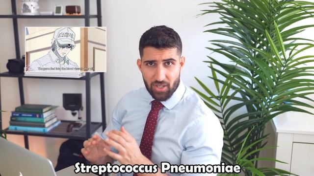 British Doctor Reacts to Cells At Work Season 1 Episode 1 [2023] смотреть онлайн