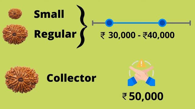 Everything About 14 Mukhi Rudraksha | Best Rudraksha to Protect from Black Magic смотреть онлайн