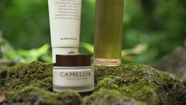 NEW | MAROHAN CAMELLIA LINE🌺 смотреть онлайн