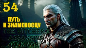 ВЕДЬМАК И ЗНАМЕНОСЕЦ - THE WITCHER 2 ASSASSINS OF KINGS - ПРОХОЖДЕНИЕ НА 100 ПРОЦЕНТОВ #54