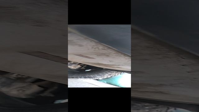 VID_20240325_093822.mp4