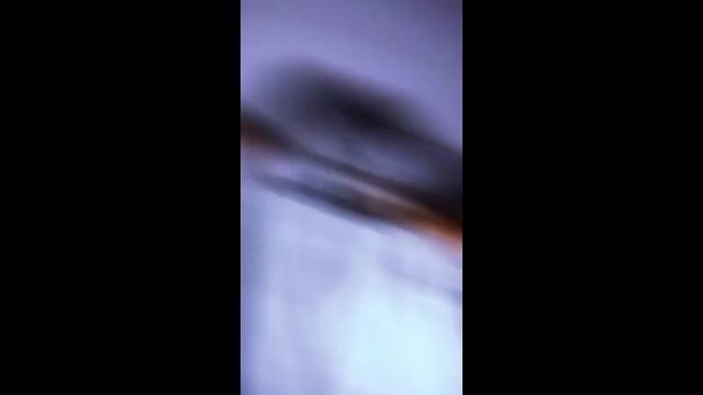 спасибо вам за 25 люблю вас!💗💫😜🤟🏻 смотреть онлайн