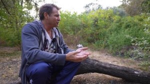 В Америке меня за это арестовали и сделали криминальную запись