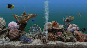 📺 Заставка на Android TV Морской Аквариум( Marine Aquarium )