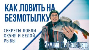 Как ловить на безмотылку. Зимний календарь рыболова
