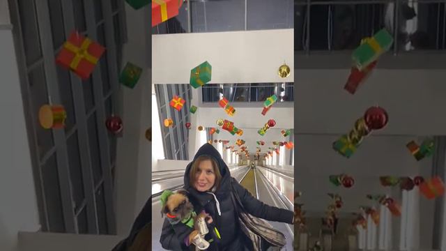 Борис и предновогодняя Москва смотреть онлайн