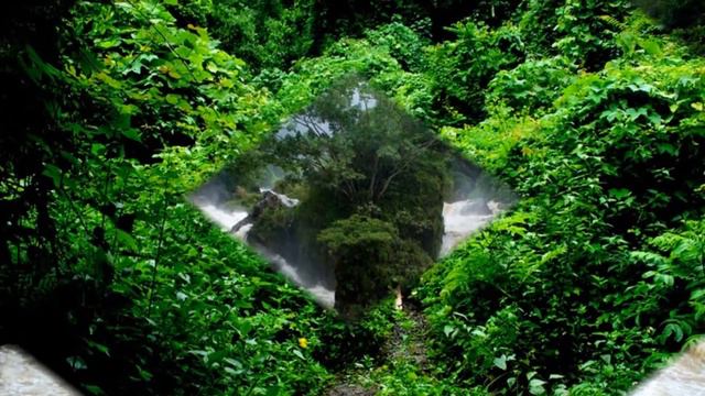 Ba Be Lake Tour смотреть онлайн