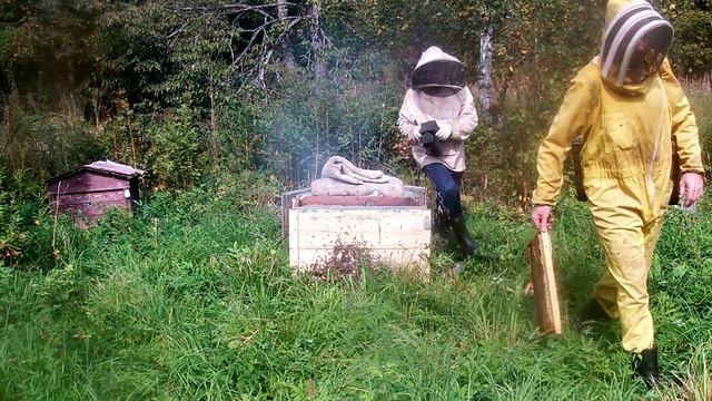 чем полезен мед и от чего.avi смотреть онлайн