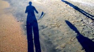 Отдых и рыбалка на Азовском море