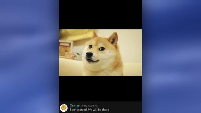 Discord’s Leaked Nitro Features, Call Banners, and New Icons! смотреть онлайн