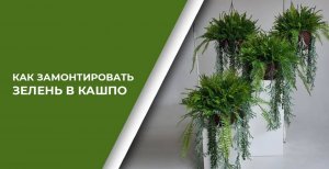 Как замонтировать зелень и цветы в кашпо _ Секреты, Лайфхаки, инструмент, материалы